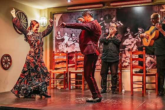 TABLAO FLAMENCO LA CANTAORA - photo 11