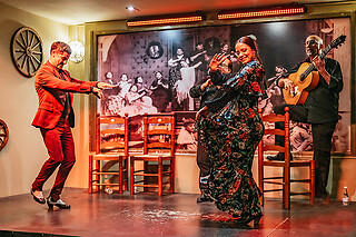 Un show flamenco con cocktail para 1 en Tablao Flamenco La Cantaora en Sevilla