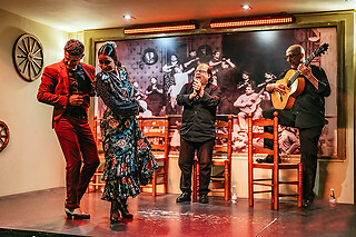 Un show flamenco con cocktail para 1 en Tablao Flamenco La Cantaora en Sevilla
