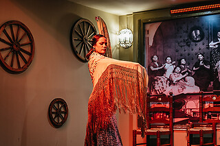 Un show flamenco con cocktail para 1 en Tablao Flamenco La Cantaora en Sevilla