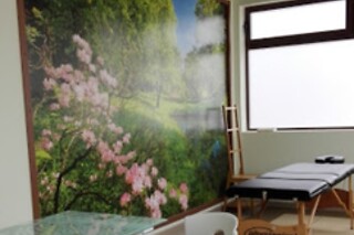 Un tratamiento Flores de Bach para 1 en Corpore Sano Fisioterapia y Bienestar en Burgos
