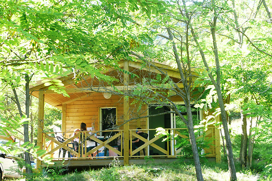 Domaine Chasteuil Provence - photo 0