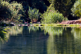 HOTEL ROSALEDA DEL MIJARES