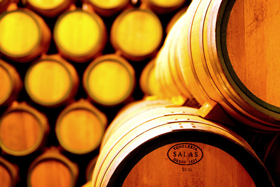 Una visita a bodega con cata y aperitivo para 2 en Bodegas Castaño en Yecla (Murcia)