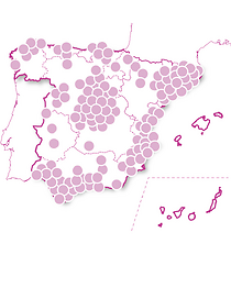 Rituales de lujo