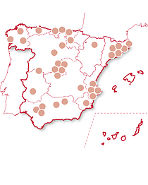 Cena con estrellas