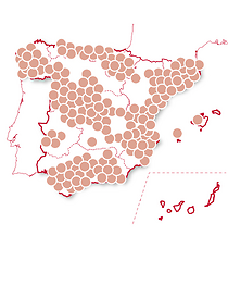 Sabores exóticos