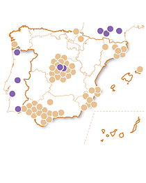 Sensaciones Únicas