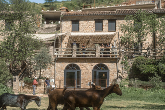 ECO HOTEL CUEVA DEL GATO - photo 21